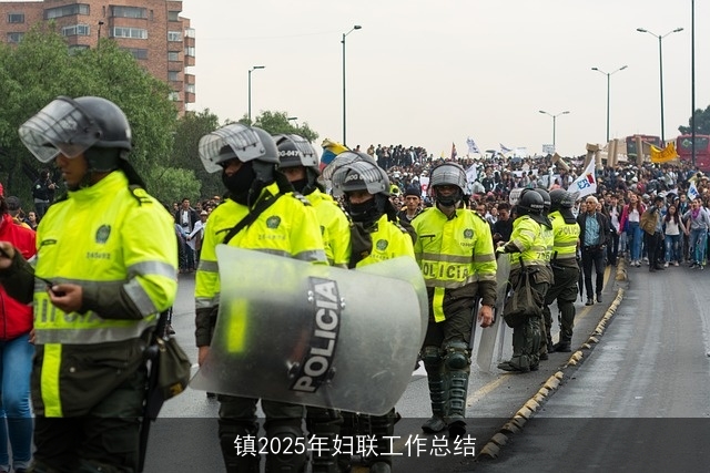 镇2025年妇联工作总结