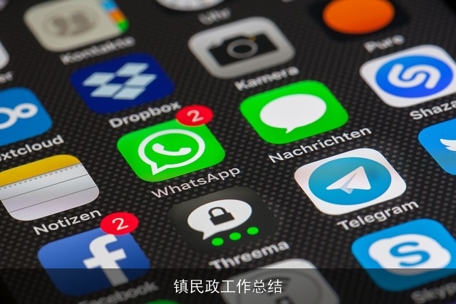 镇民政工作总结