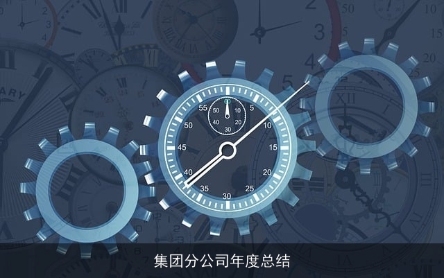 集团分公司年度总结