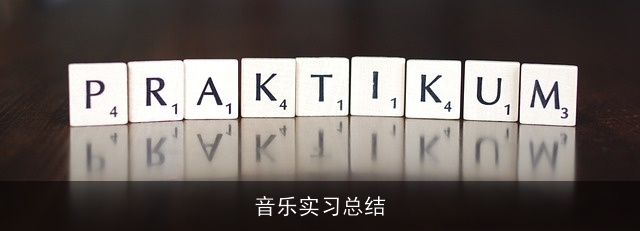 音乐实习总结
