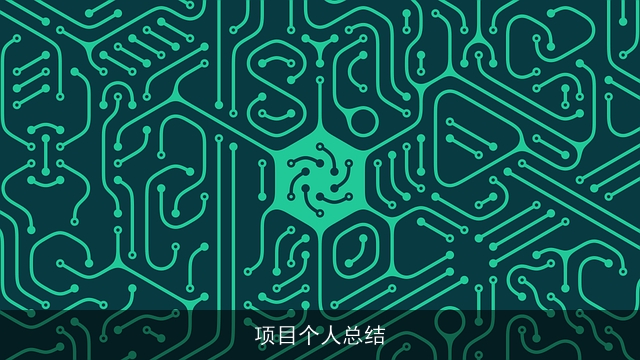 项目个人总结