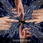 项目完成情况总结