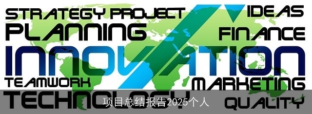 项目总结报告2025个人