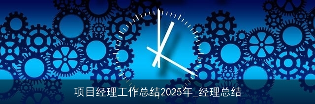 项目经理工作总结2025年_经理总结