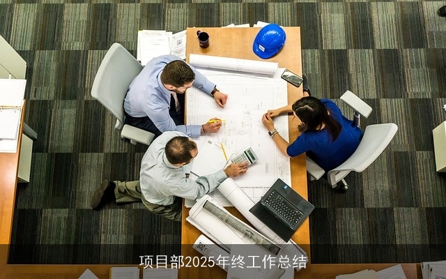 项目部2025年终工作总结