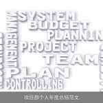 项目部个人年度总结范文