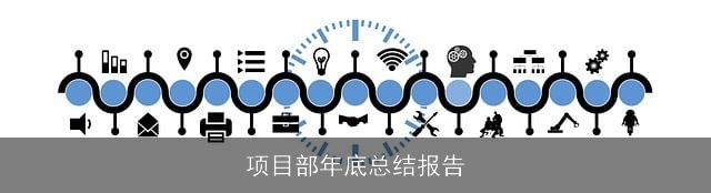 项目部年底总结报告