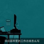 项目部年度的工作总结怎么写