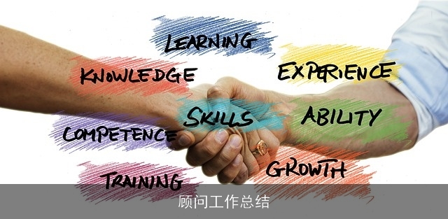 顾问工作总结