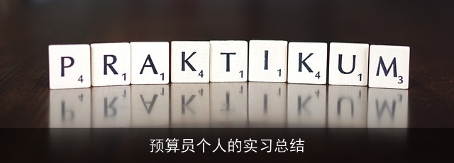 预算员个人的实习总结