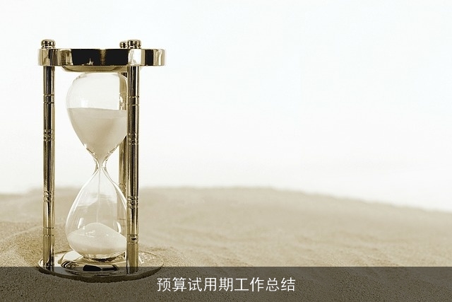 预算试用期工作总结