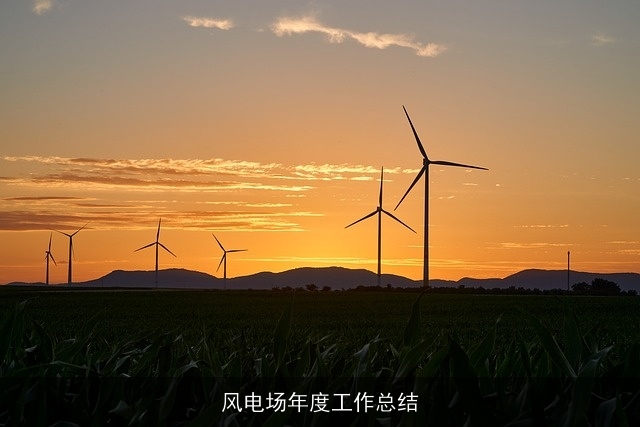 风电场年度工作总结
