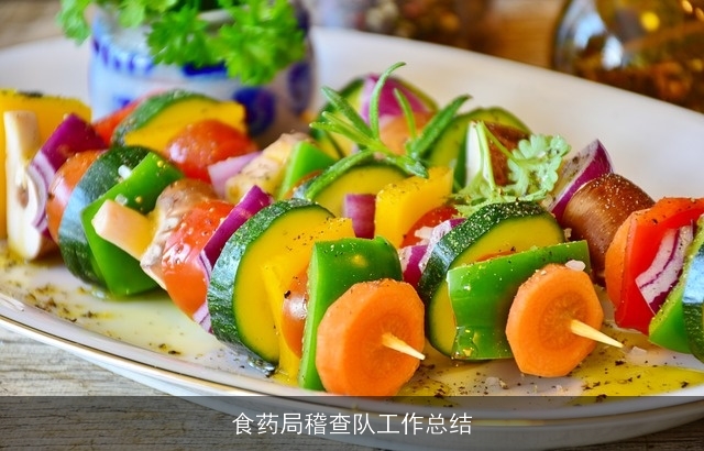 食药局稽查队工作总结