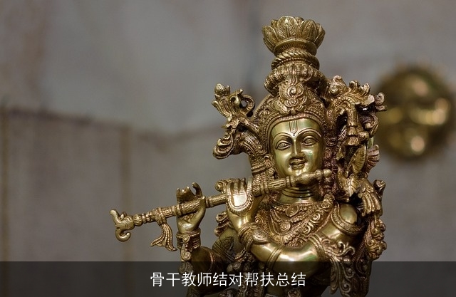 骨干教师结对帮扶总结