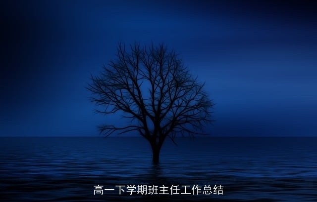 高一下学期班主任工作总结