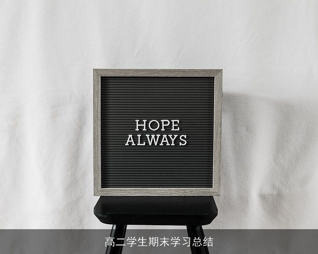 高二学生期末学习总结