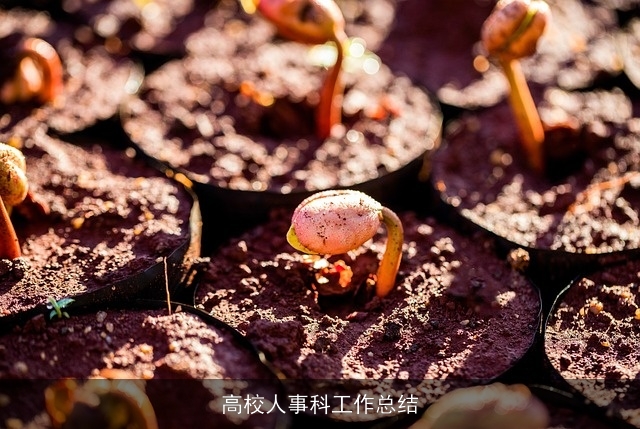 高校人事科工作总结