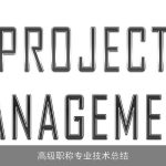 高级职称专业技术总结