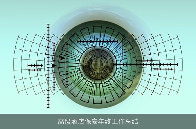 高级酒店保安年终工作总结