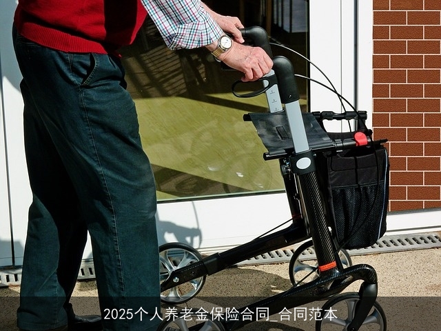 2025个人养老金保险合同_合同范本