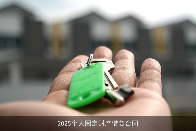 2025个人固定财产借款合同