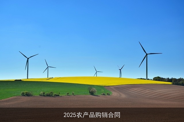2025农产品购销合同