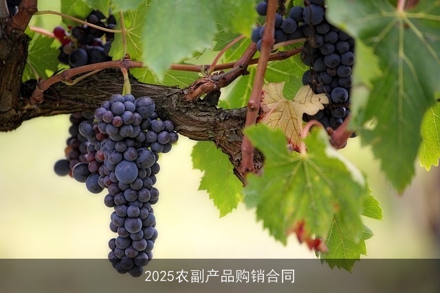 2025农副产品购销合同