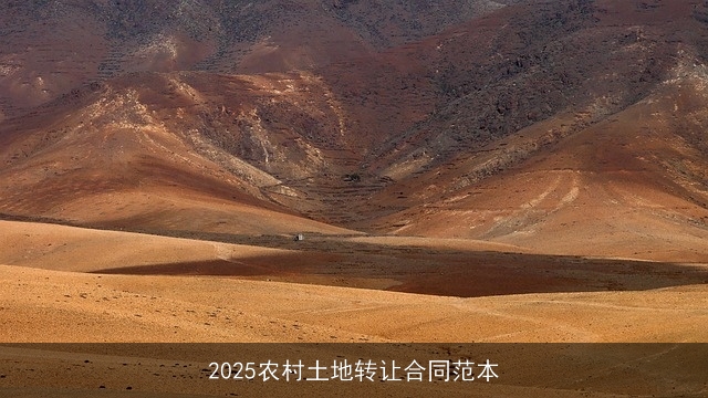 2025农村土地转让合同范本