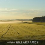 2025农村集体土地租赁合同范本