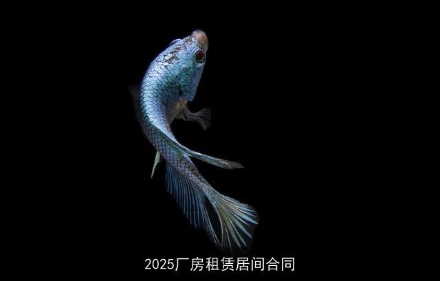 2025厂房租赁居间合同