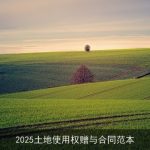 2025土地使用权赠与合同范本