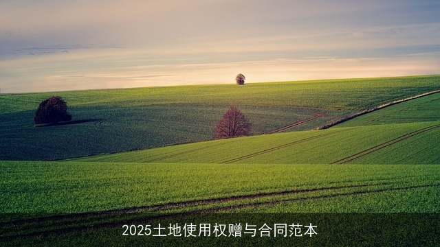2025土地使用权赠与合同范本