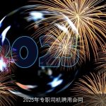 2025年专职司机聘用合同