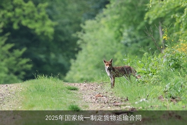 2025年国家统一制定货物运输合同
