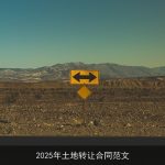 2025年土地转让合同范文