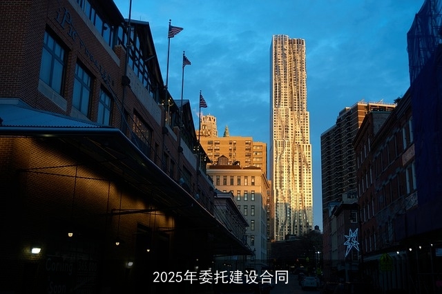 2025年委托建设合同
