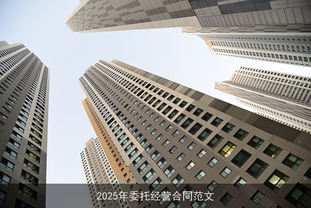 2025年委托经营合同范文