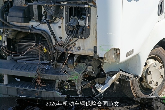 2025年机动车辆保险合同范文