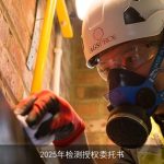 2025年检测授权委托书