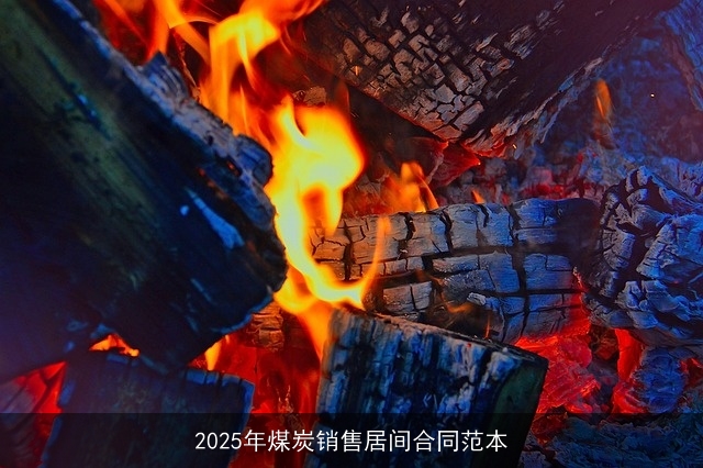 2025年煤炭销售居间合同范本