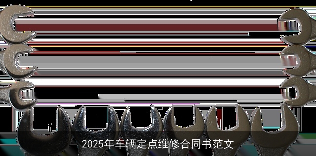 2025年车辆定点维修合同书范文