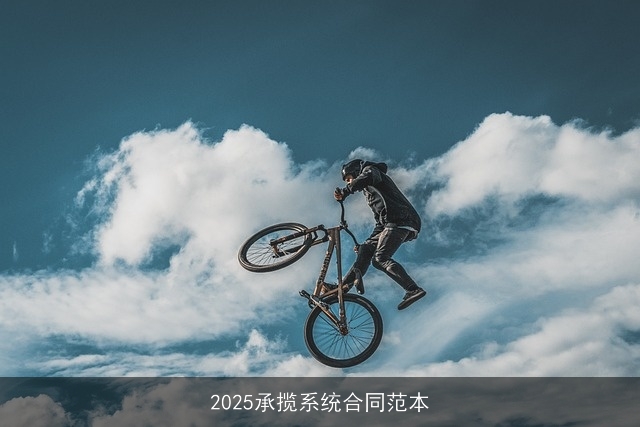 2025承揽系统合同范本