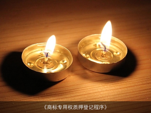 《商标专用权质押登记程序》