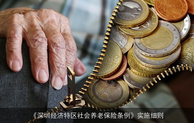 《深圳经济特区社会养老保险条例》实施细则