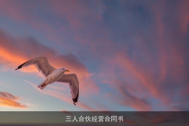 三人合伙经营合同书