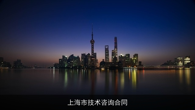 上海市技术咨询合同