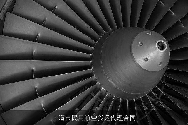 上海市民用航空货运代理合同