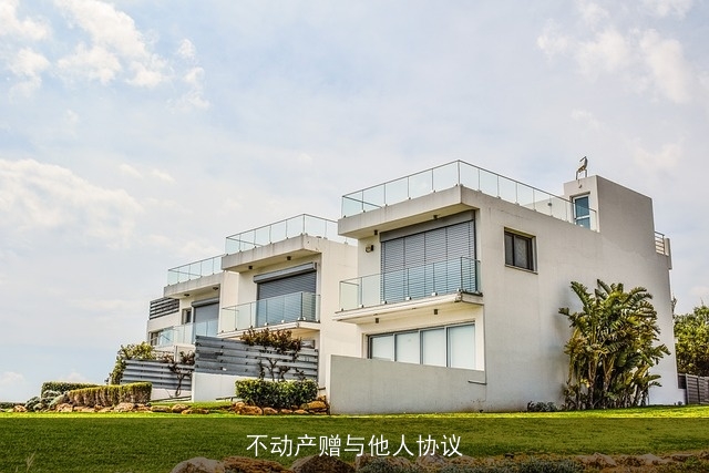 不动产赠与他人协议