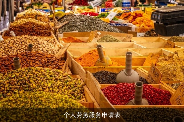 个人劳务服务申请表