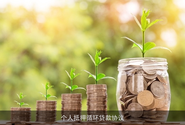 个人抵押循环贷款协议